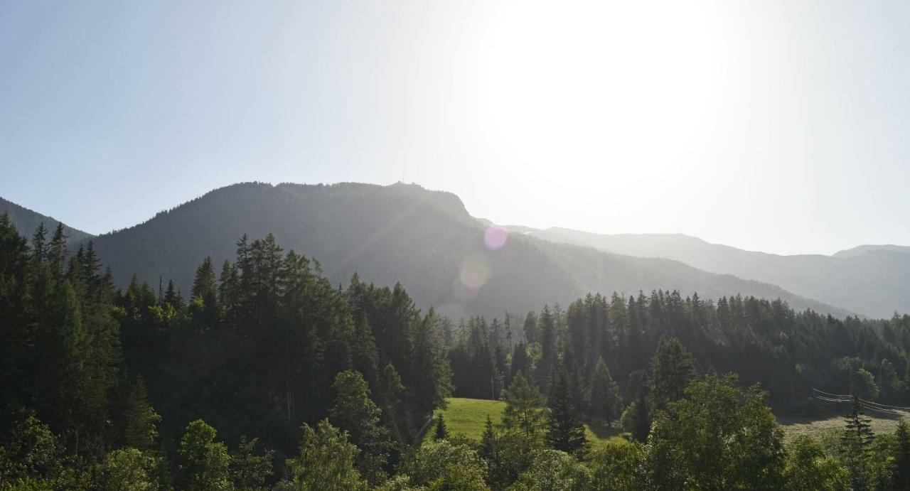 Appartement Mauterndorf 마우어테른도르프 외부 사진